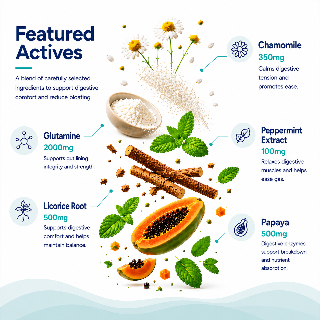 Health supplement product with ingredients and their benefits on a white background