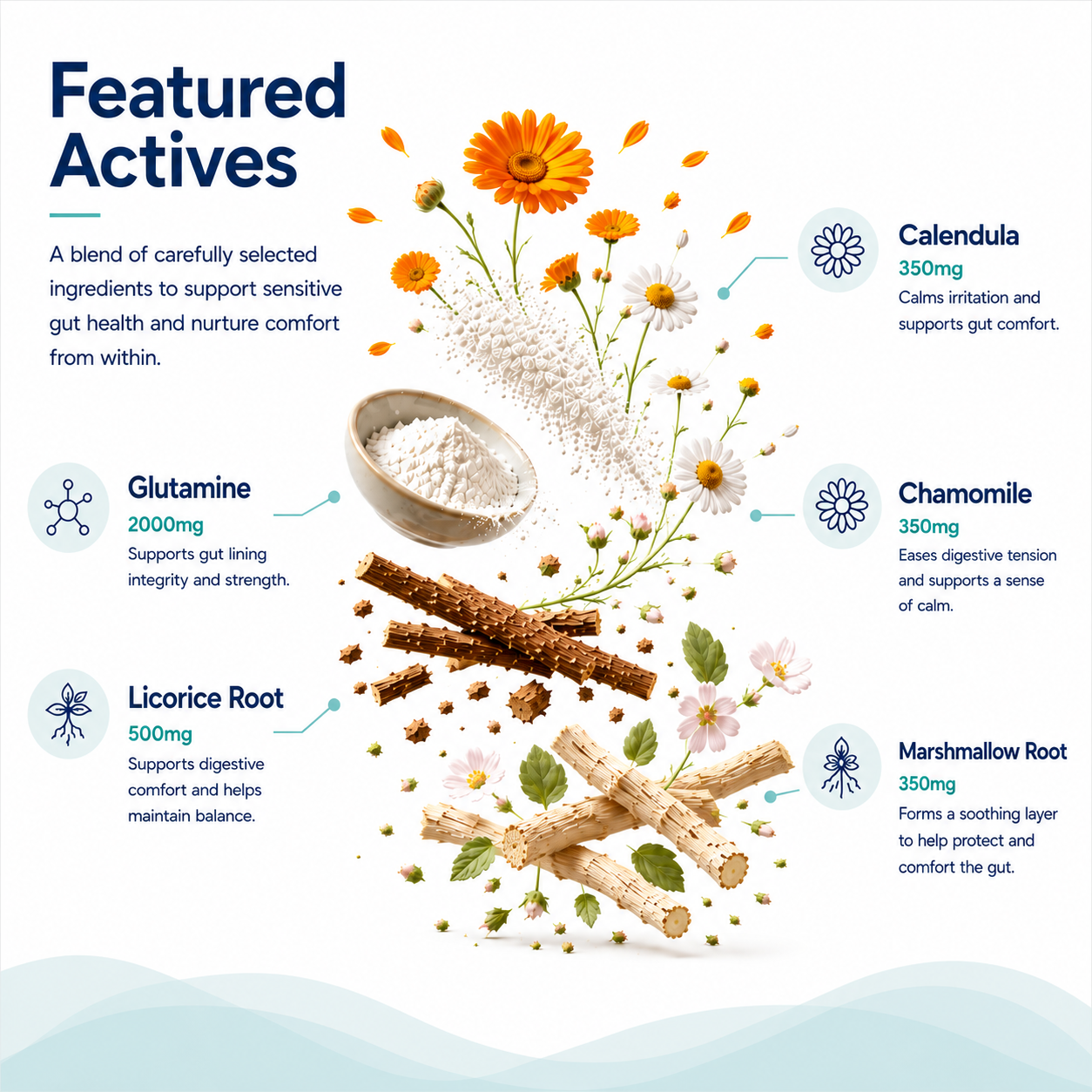 Gut Health Blend - Sensitive Gut Support