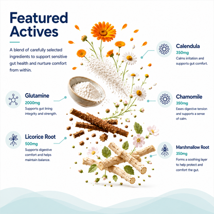 Gut Health Blend - Sensitive Gut Support
