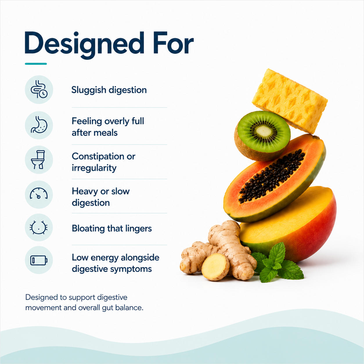 Gut Health Blend - Slow Digestion Support